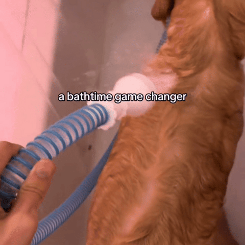 TubBuddy | The Dog Bath Sprayer