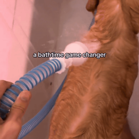 TubBuddy | The Dog Bath Sprayer