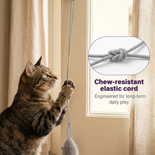Pawflick™ - Play. Pounce. Repeat.