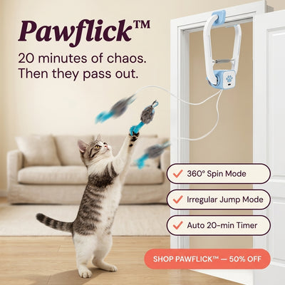 Pawflick™ - Play. Pounce. Repeat.
