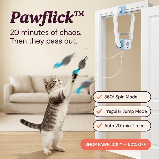 Pawflick™ - Play. Pounce. Repeat.