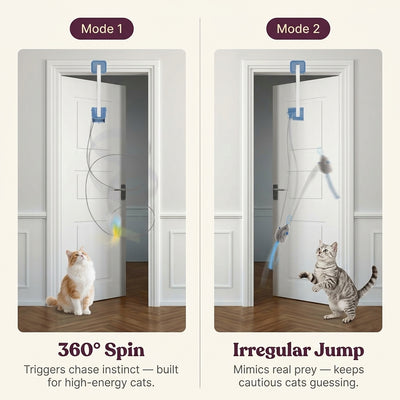 Pawflick™ - Play. Pounce. Repeat.