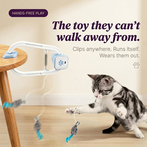 Pawflick™ - Play. Pounce. Repeat.