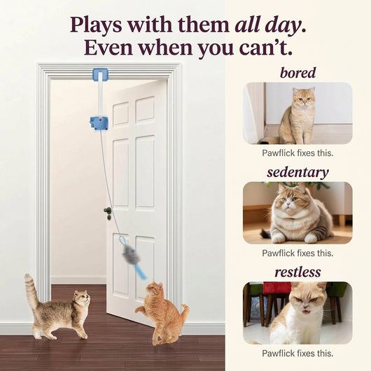 Pawflick™ - Play. Pounce. Repeat.